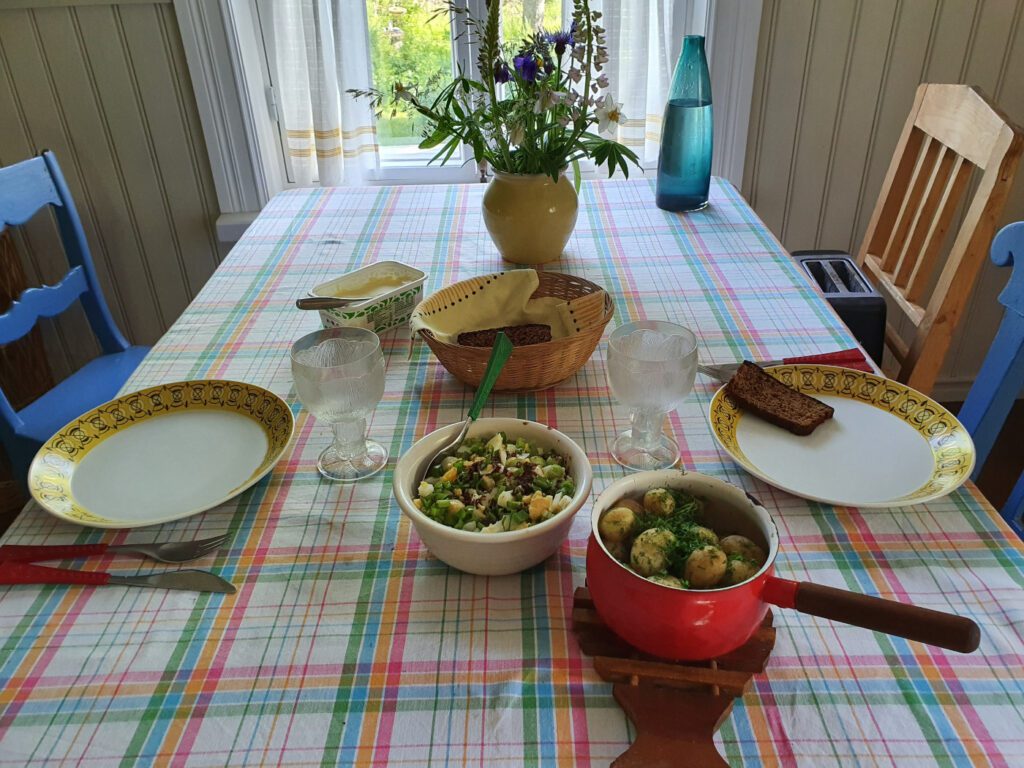 Katettu ruokapöytä, jossa värikkäitä asioita ja ruudullinen pöytäliina sekä kesäkukkia maljakossa.