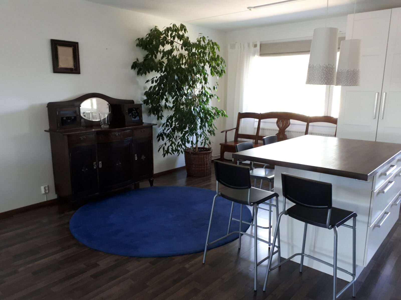 Olohuone, jossa pyöreä sinin matto, pöytä ja kaksi tuolia sekä huonekasvi