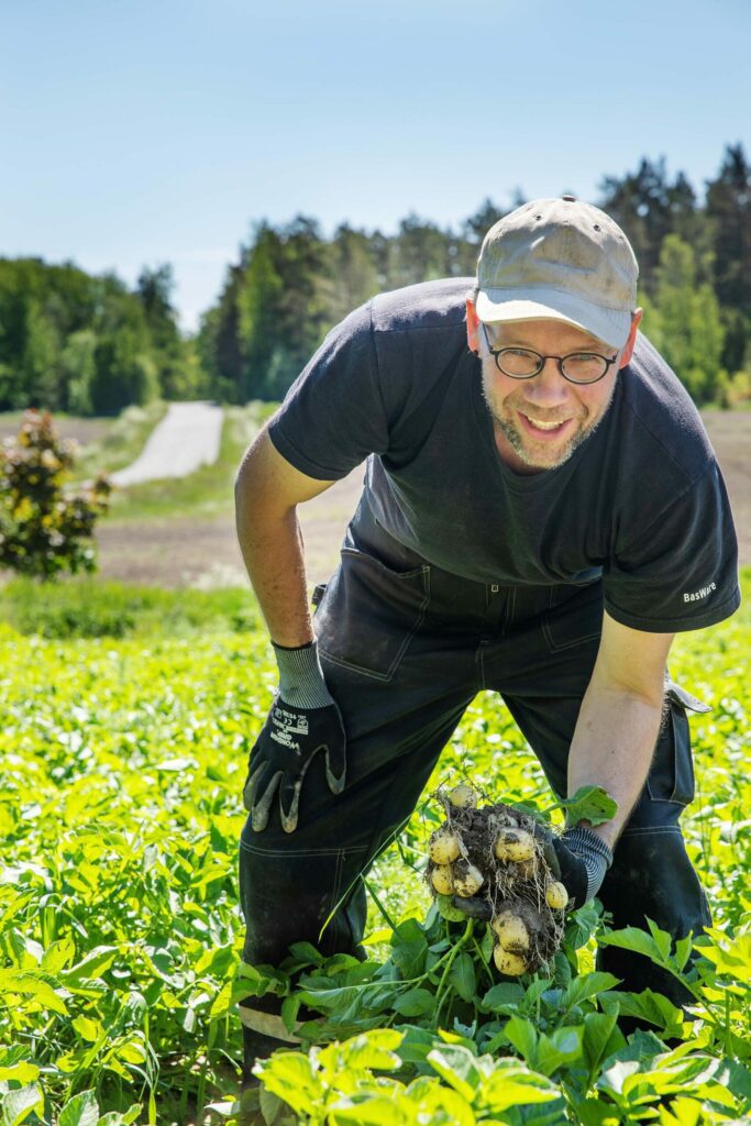 Rymättylän Varhane -viljelijä Mika Törne nostamassa perunoita pellolta.