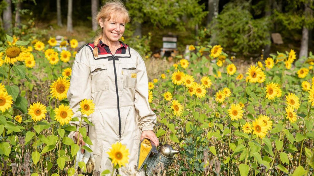 Naantalin Hunaja -yrityksen omistaja ja tarhuri Tarja Palomäki seisoo suoja-asussa auringonkukkien ympäröimänä.