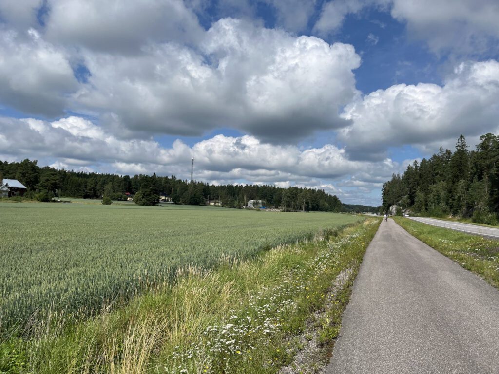 Niemenkulman pyöräilyreitti kulkee kauniissa maalaismaisemissa pellon vieressä.